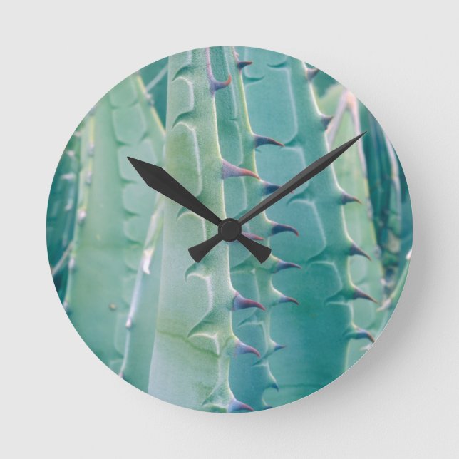 Relógio Redondo Padrões de uma planta de Agave (Frente)