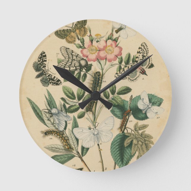 Relógio Redondo Palcos da vida da borboleta pelo Vision Studio (Frente)