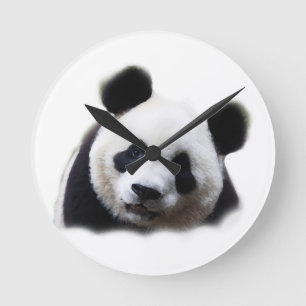 Relógio Redondo Panda