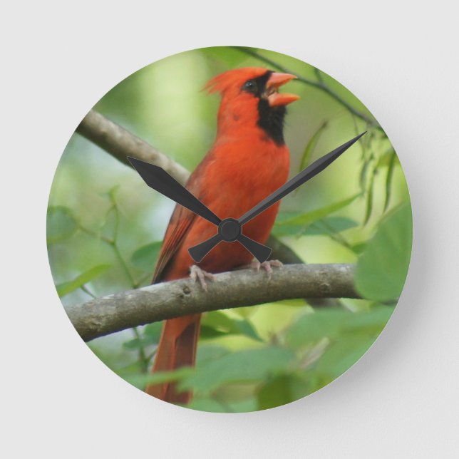 Relógio Redondo Pappa Singing! (Frente)