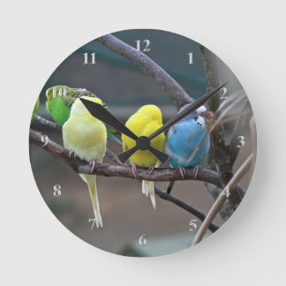 Relógio Redondo Parakeets Orçamenta Parrots Aves Bright Pássaros