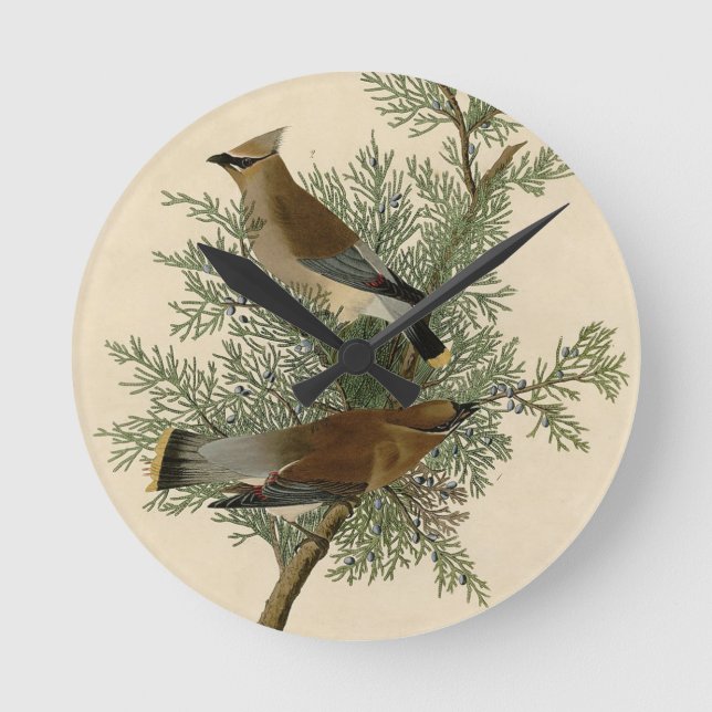 Relógio Redondo Pássaro-cera-de-Audubon (Frente)