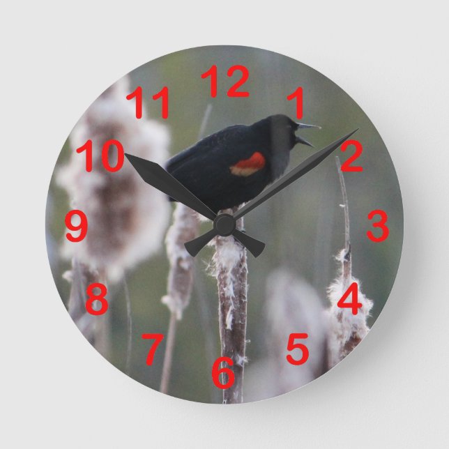 Relógio Redondo Pássaro Negro de asa vermelha (Agelaius phoeniceus (Frente)