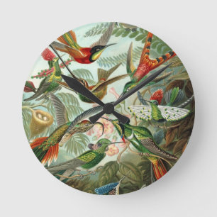 Relógio Redondo pássaros flores flor pássaro natureza pintura vint