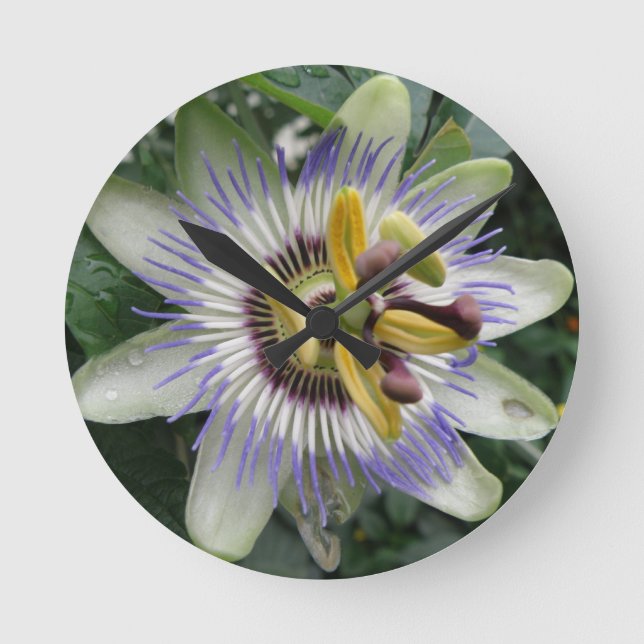 Relógio Redondo Passion Flower Wall Clock (Frente)