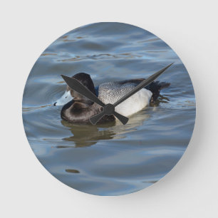 Relógio Redondo Pato Menor Scaup
