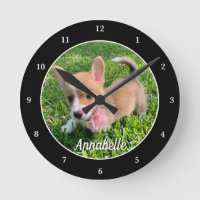 Personalizado Dog Foto Monograma Moderno Proprietá