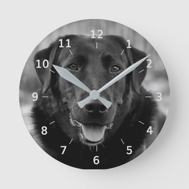 Relógio Redondo Pet Dog Square Wall Clock, Foto do Labrador Negro (Frente)