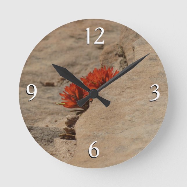 Relógio Redondo Pincel Indiano em Rochas em Zion (Frente)