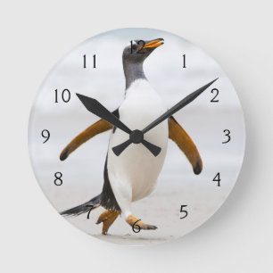Relógio Redondo Pinguim de Gentoo