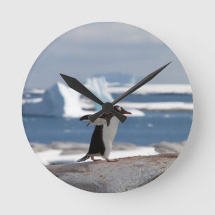 Relógio Redondo Pinguim em frente a um arco de gelo