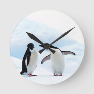 Relógio Redondo Pinguins Adelie