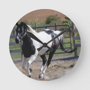 Relógio Redondo Pinto Paint Horse