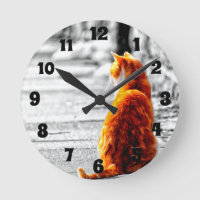 Pintura alaranjada matizada A-PAL do gato de gato