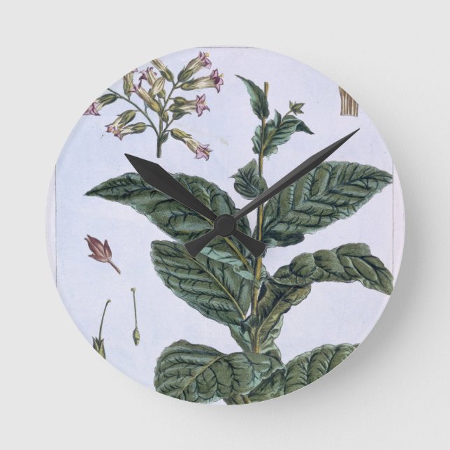 Relógio Redondo Planta de tabaco, placa 7, 'da coleção Precieuse (Frente)