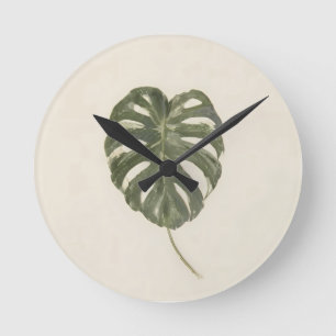 Relógio Redondo Plantas Modernas Folha de Monstera Variegada Minim