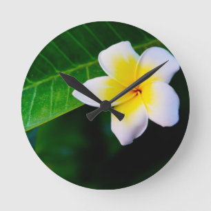 Relógio Redondo Plumeria