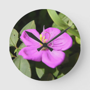 Relógio Redondo Plumeria Poster Faux Canvas, Rosa Havaiana, Imprim