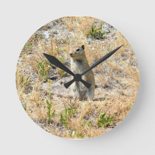 Relógio Redondo Prairie Dog em Yosemite, CA