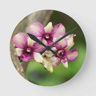 Relógio Redondo Prazer da orquídea
