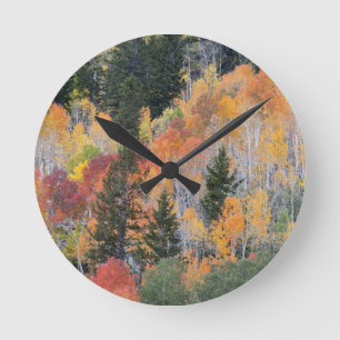 Relógio Redondo Provo Rio e aspineas