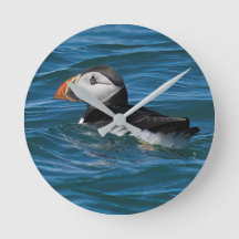 Puffin no mar faux tela de impressão acrílica chav