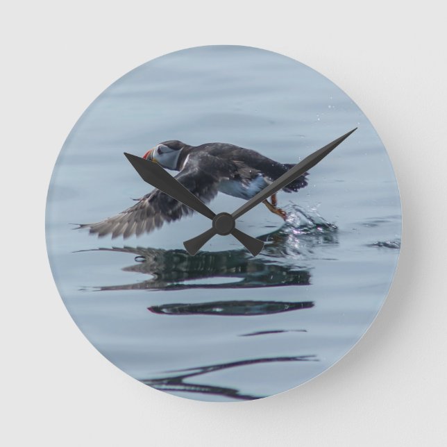 Relógio Redondo Puffin Wall Clock (Frente)