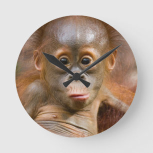 Relógio Redondo Pulso de disparo do macaco