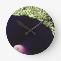 Pulso de disparo floral