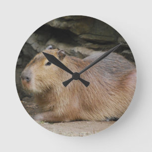 Relógio Redondo Pulso de disparo selvagem do Capybara