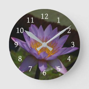 Relógio Redondo Purple Lotus Waterlily