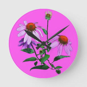 Relógio Redondo Púrpura Coneflower A Rosa
