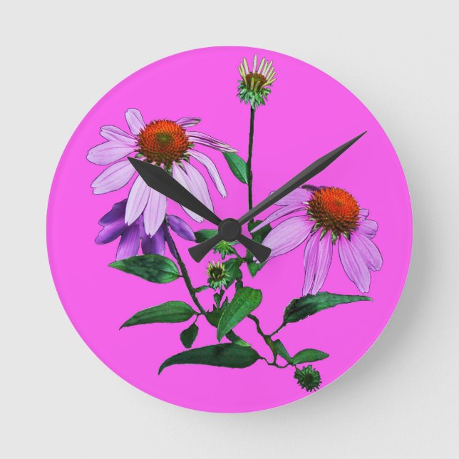 Relógio Redondo Púrpura Coneflower A Rosa (Frente)