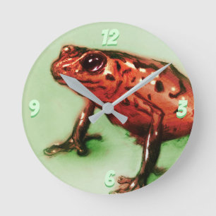 Relógio Redondo Red Frog Round Clock, Wild Animal Sketch in Green