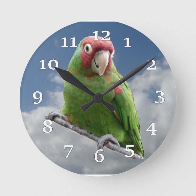 Relógio Redondo Red Masked Parakeet Wall Clock (Frente)