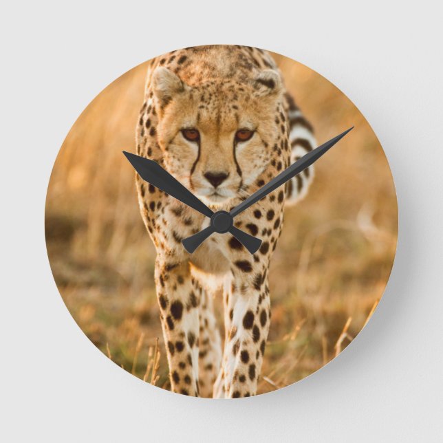 Relógio Redondo Retrato da chita (Acinonyx Jubatus), Maasai (Frente)