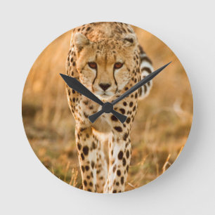 Relógio Redondo Retrato da chita (Acinonyx Jubatus), Maasai