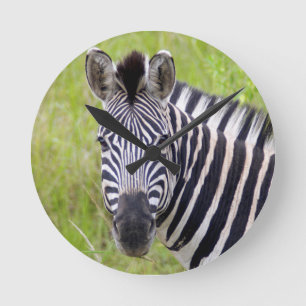 Relógio Redondo Retrato da zebra das planícies, jogo de