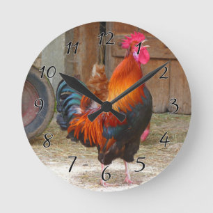 Relógio Redondo Rhode Island Red Rooster Crowing em Barnyard