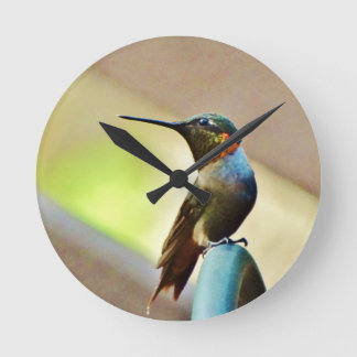 Relógio Redondo Rubi empoleirado e colibri pequeno verde