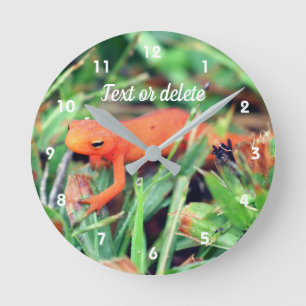 Relógio Redondo Salamandra Laranja Red Eft Personalizada Natureza