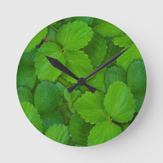 Relógio Redondo Santo Basil Tulsi Green Mint Folhas (Frente)