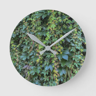 Relógio Redondo Serene Green Ivy Wall Prendendo Folhas de Plantas