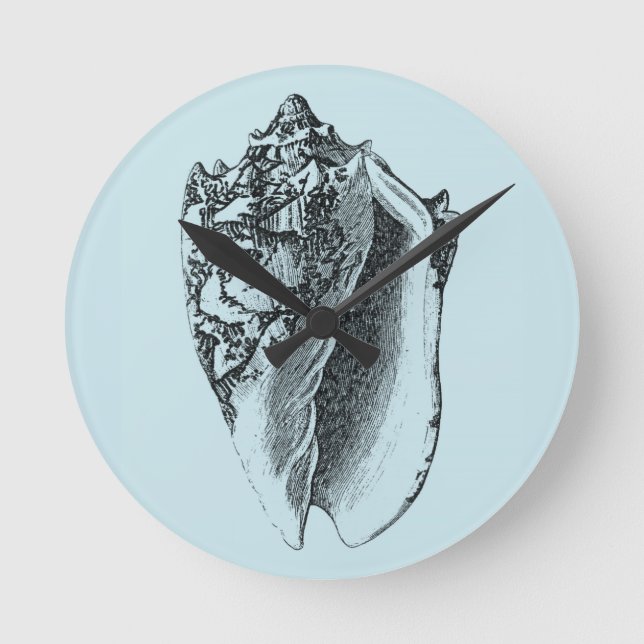 Relógio Redondo Shell Aqua Conch (Frente)