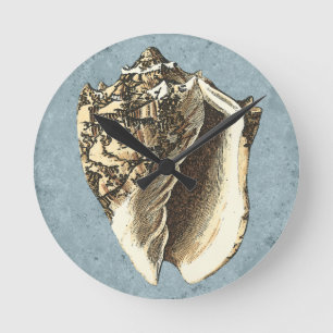 Relógio Redondo Shell de Conch com Lavagem