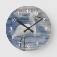 Snowy Egret Animal Willife