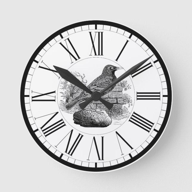 Relógio Redondo Starling British Bird Illustration Round Clock (Frente)