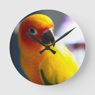 Relógio Redondo Sun Conure clock
