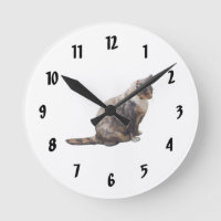 Tabby Cat em tons de marrom