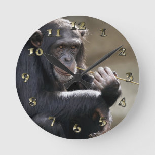 Relógio Redondo Thinking About Monkeying Around
